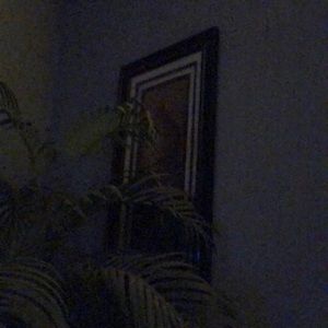 Meet your Posher, Sherry